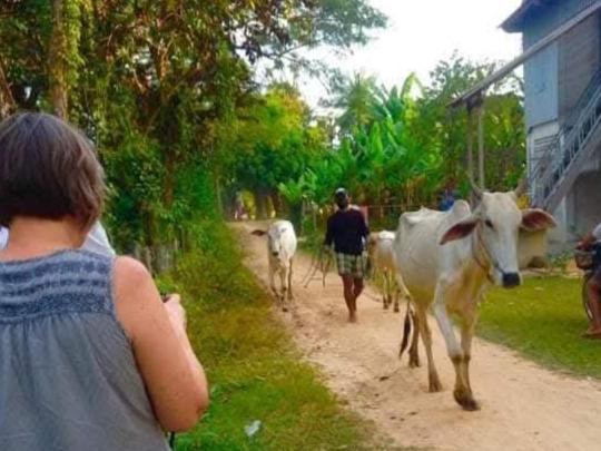 Photo of Others in Puok