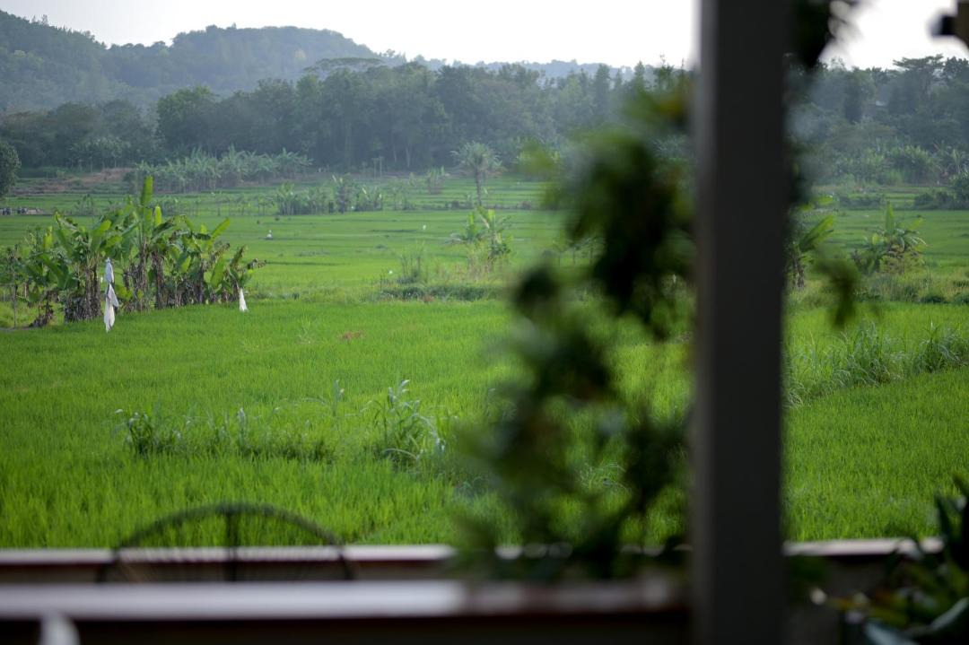 Photo of Others in Bangunjiwo