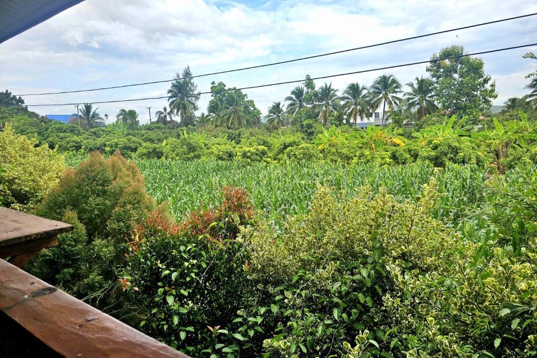 Photo of Others in Mae Taeng