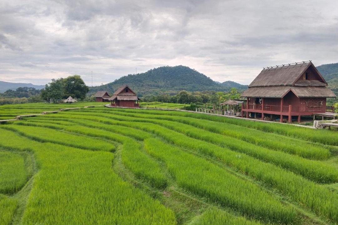 Photo of Others in Luang Prabang