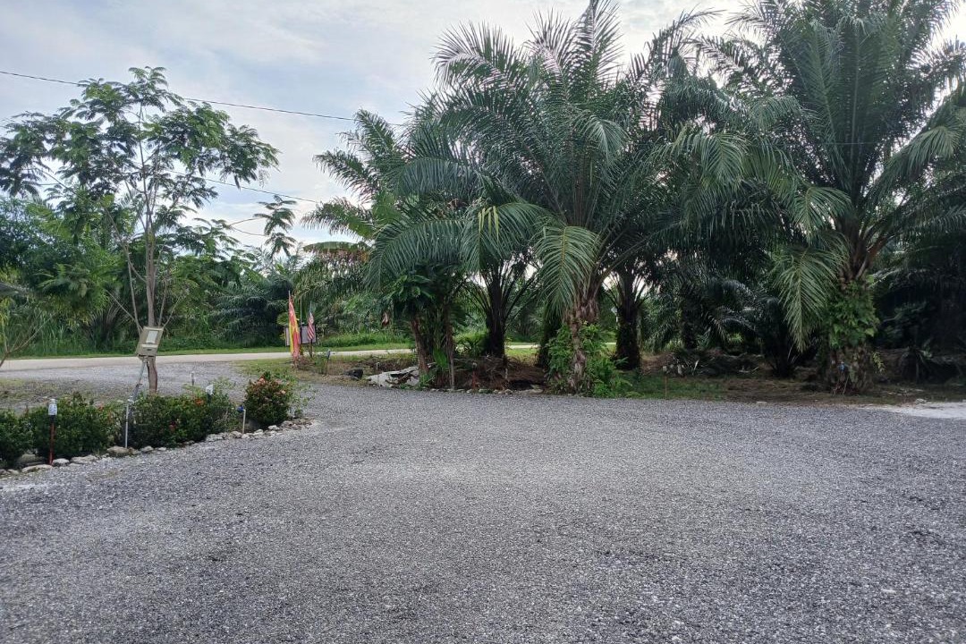 Photo of Outdoor in Banting