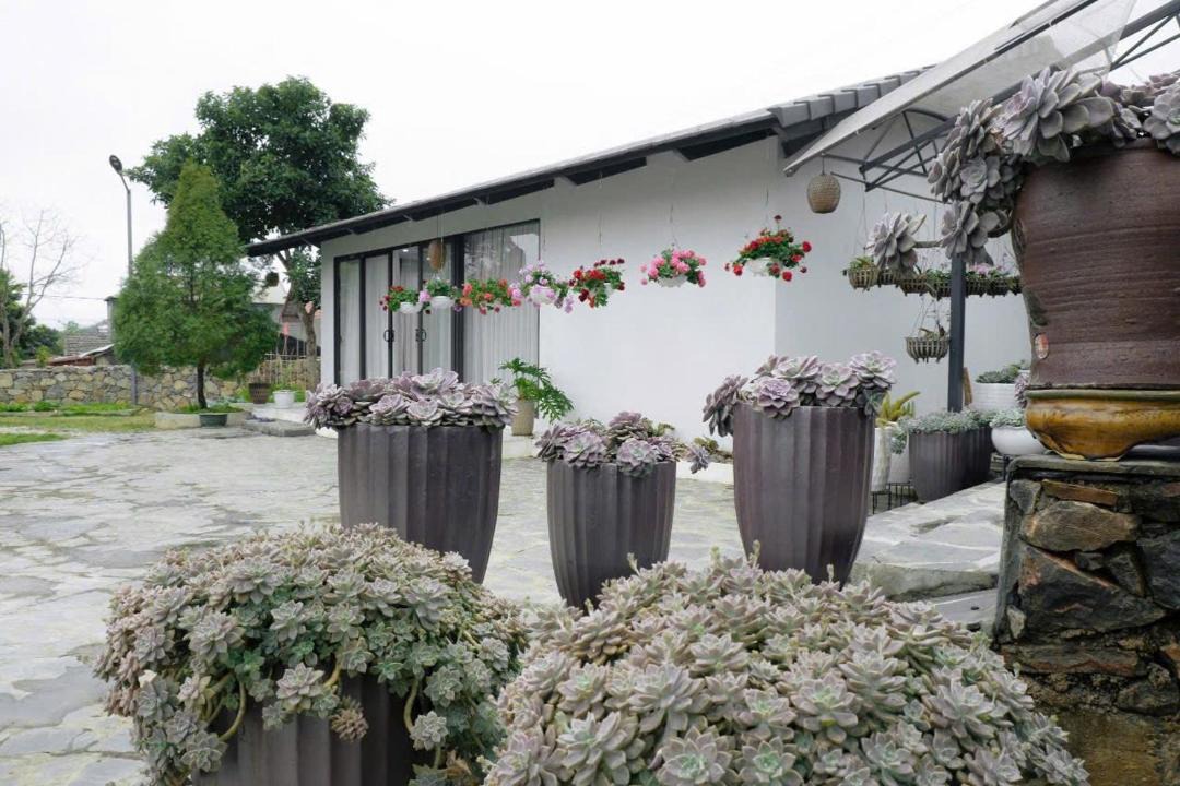 Photo of Others in Moc Chau
