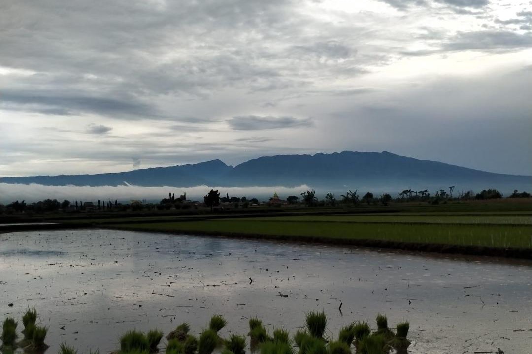Photo of Others in Probolinggo