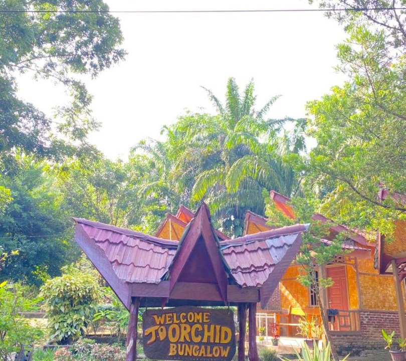 Photo of Others in Bohorok