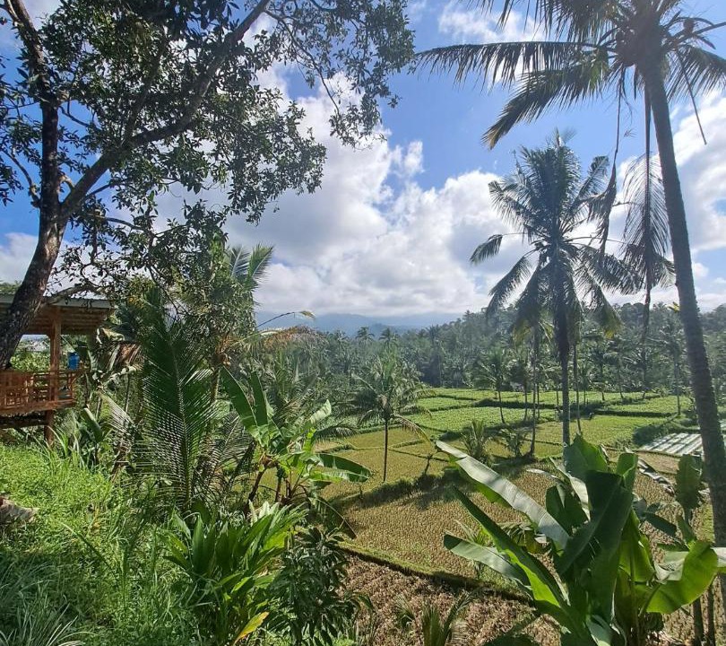 Photo of Others in Kecamatan Pringgasela