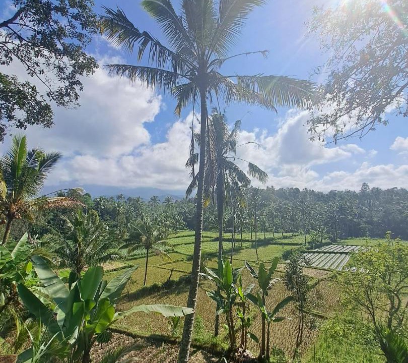 Photo of Others in Kecamatan Pringgasela