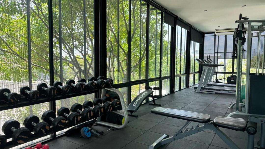 Photo of Others in San Phranet