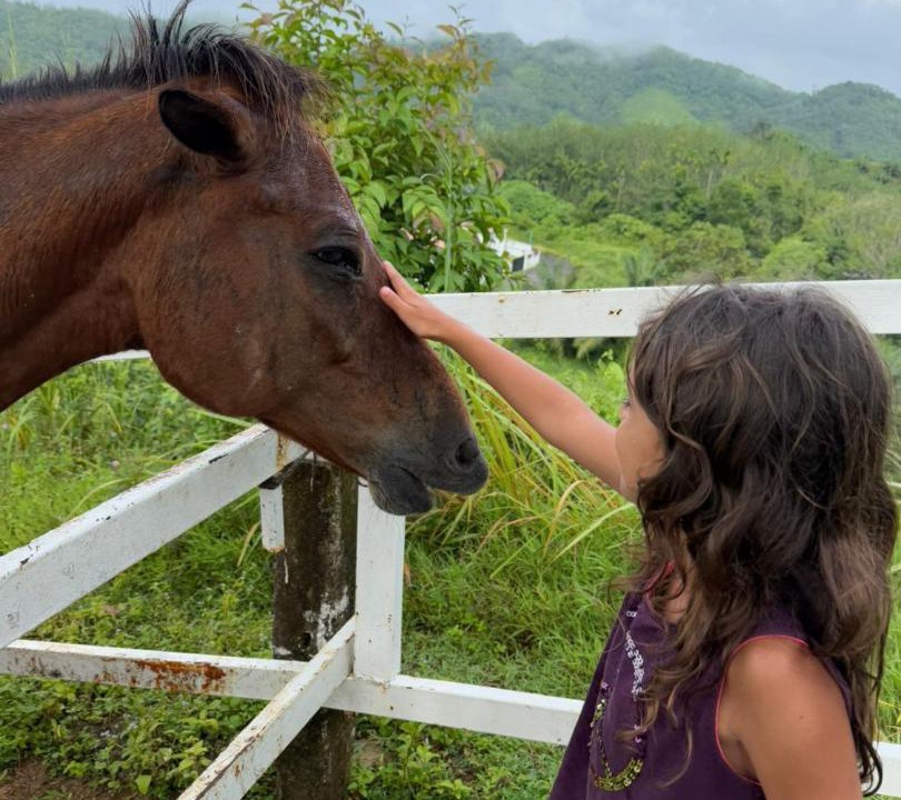 Photo of Others in Phangnga