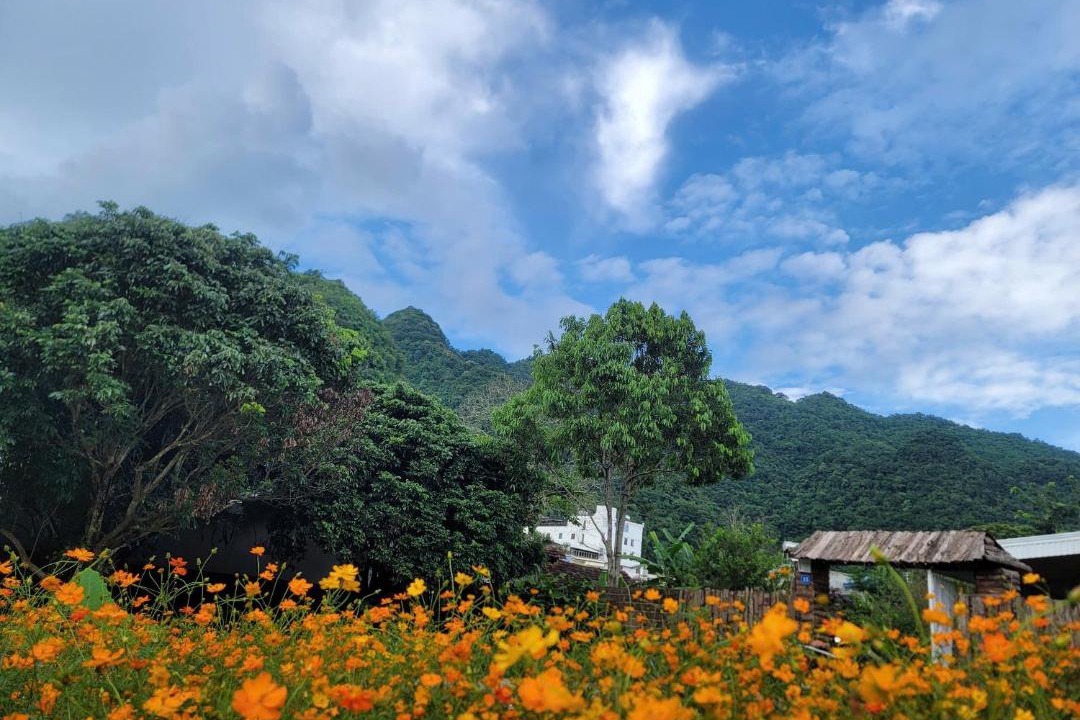 Photo of Others in Moc Chau