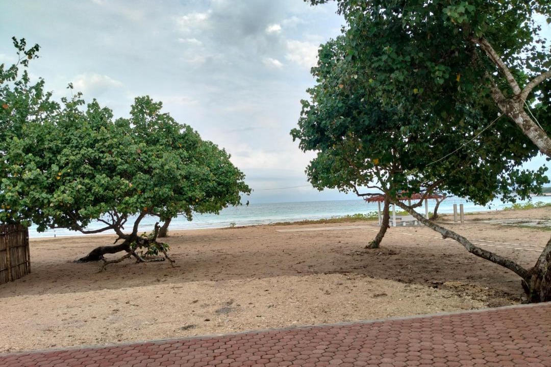 Photo of Others in Nias