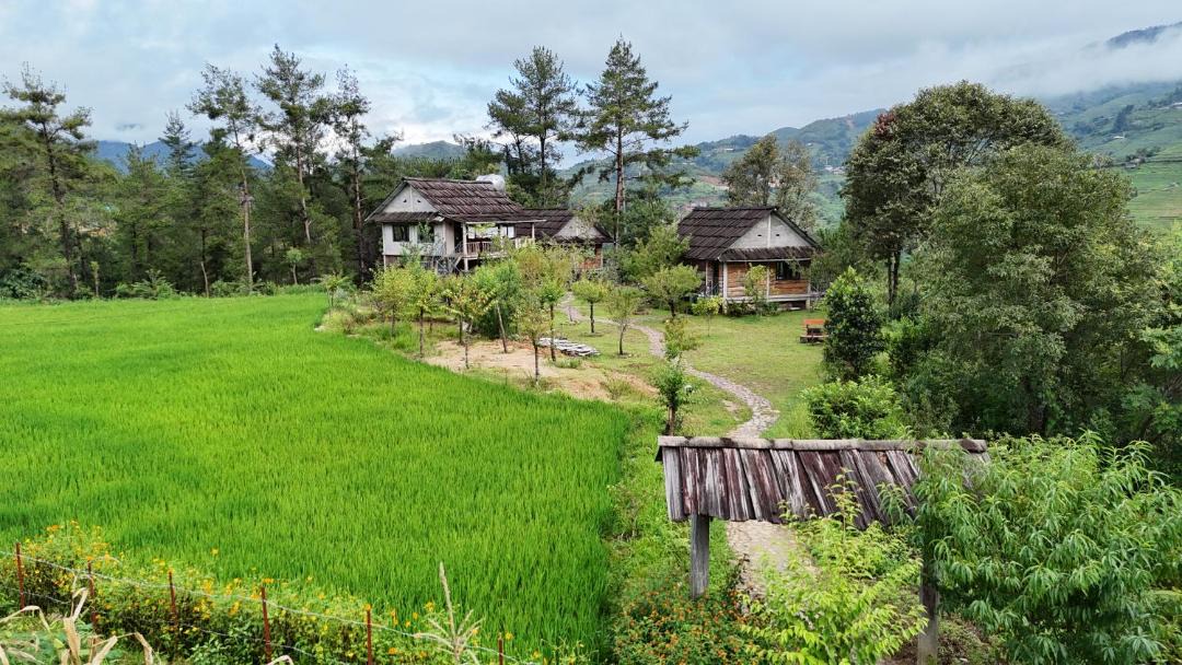 Photo of Others in Mu Cang Chai