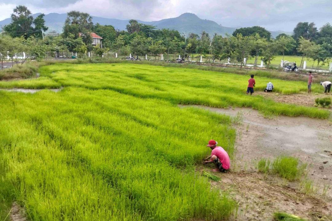 Photo of Others in Kampot
