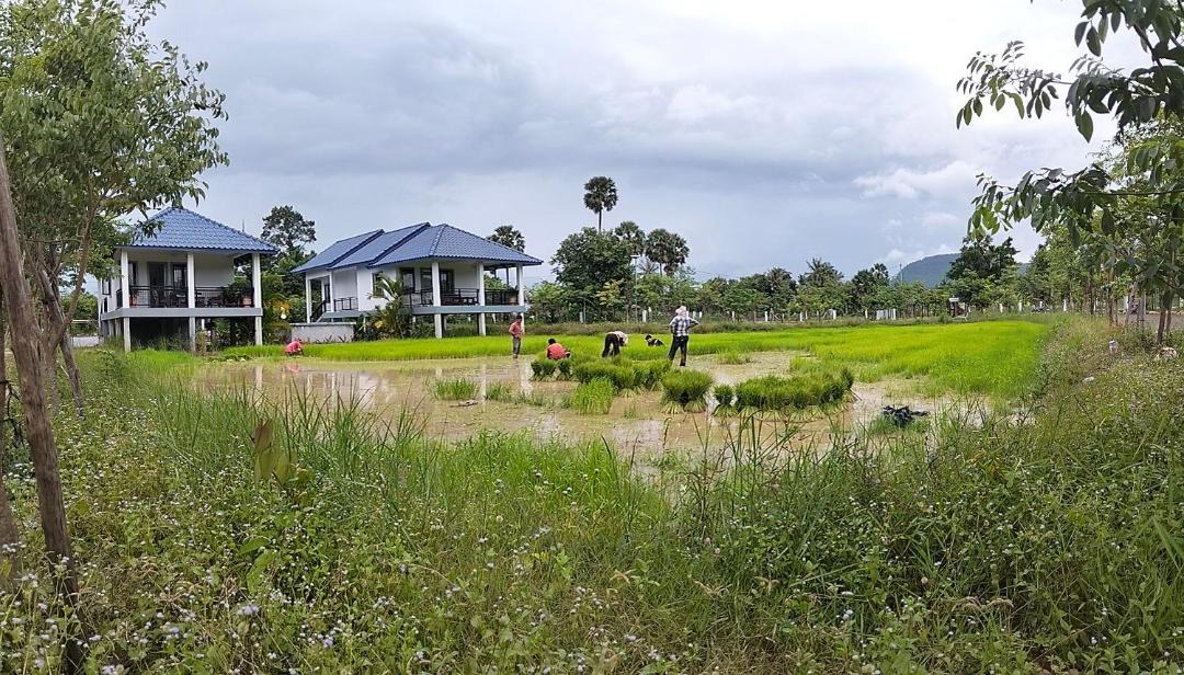 Photo of Others in Kampot