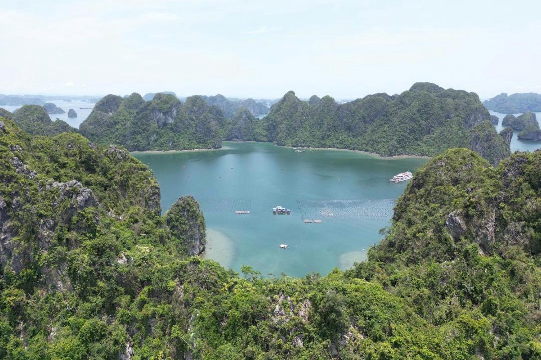Photo of Others in Ha Long