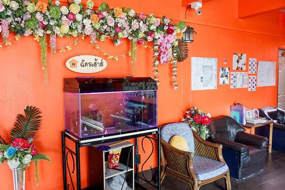Photo of Others in Chiang Rai