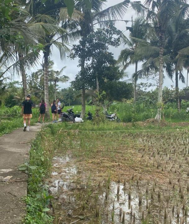 Photo of Others in Undisan