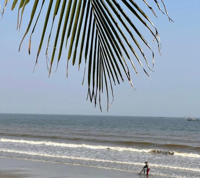 Photo of Others in Hoang Hoa