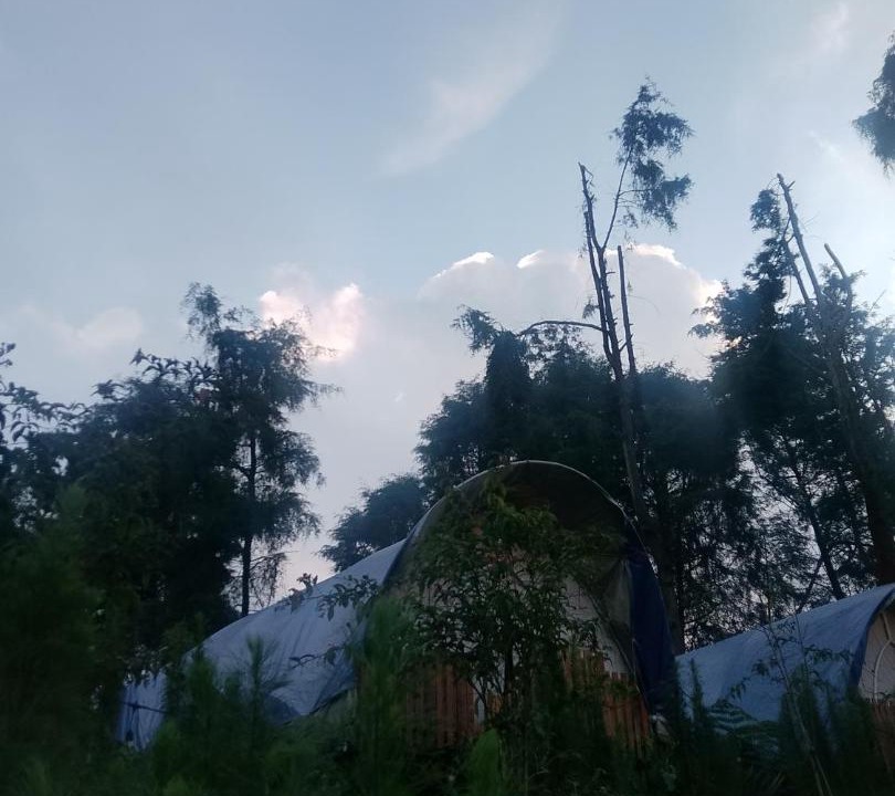 Photo of Others in Dieng Kulon