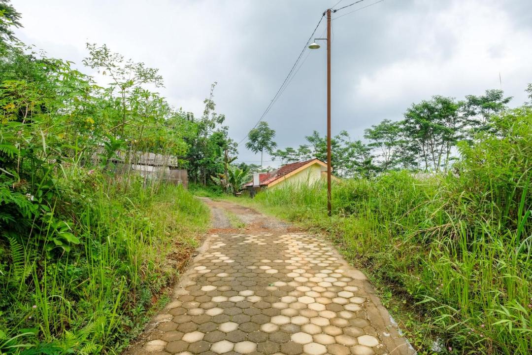 Photo of Others in Wonosobo