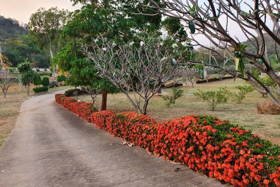 Photo of Outdoor in Muak Lek
