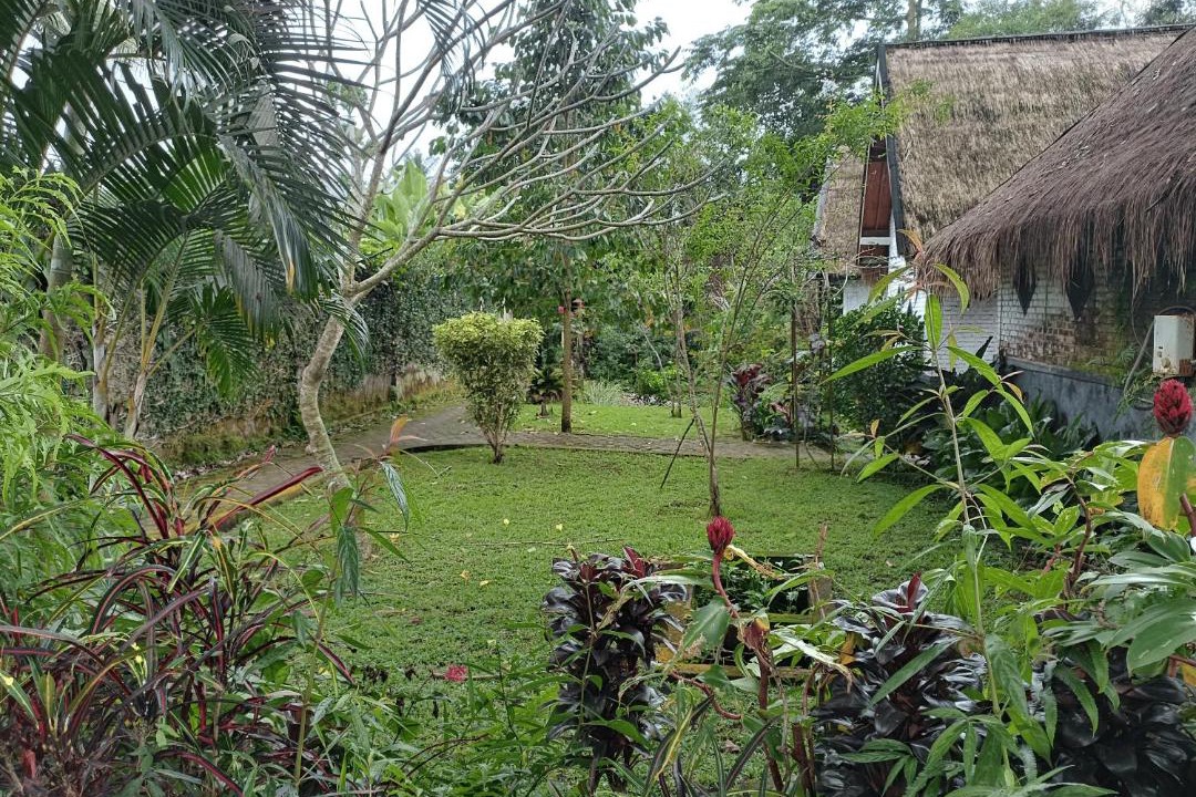 Photo of Others in Tetebatu