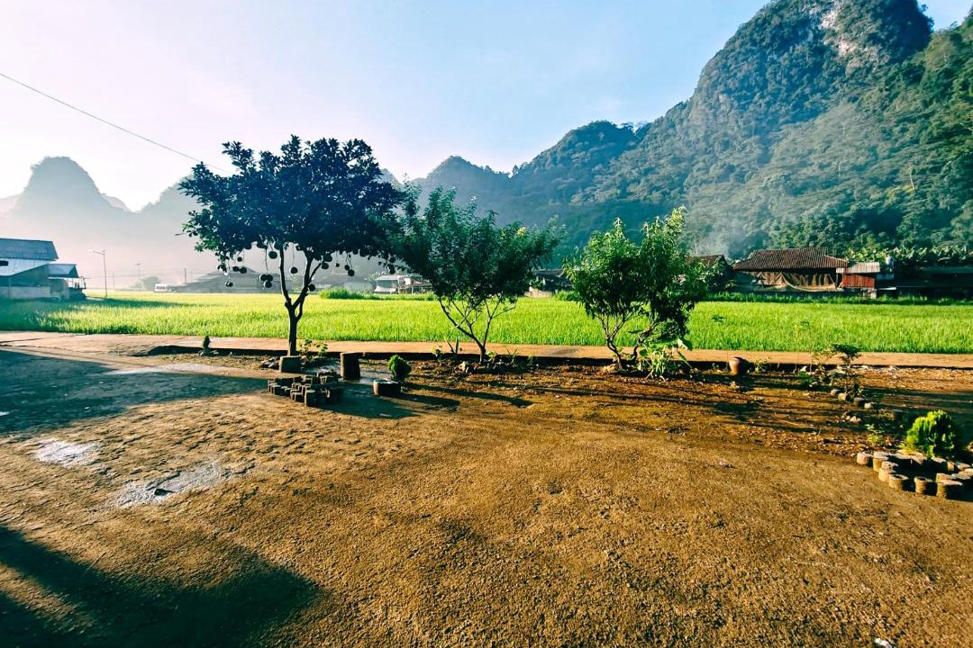 Photo of Others in Quang Uyen