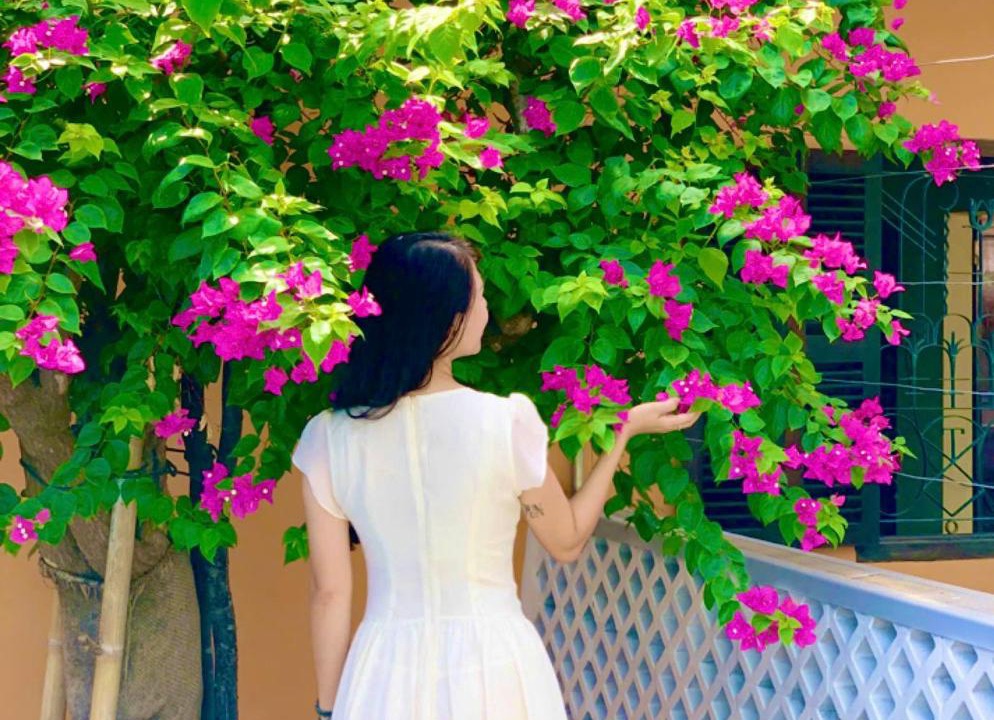 Photo of Others in Quy Nhon