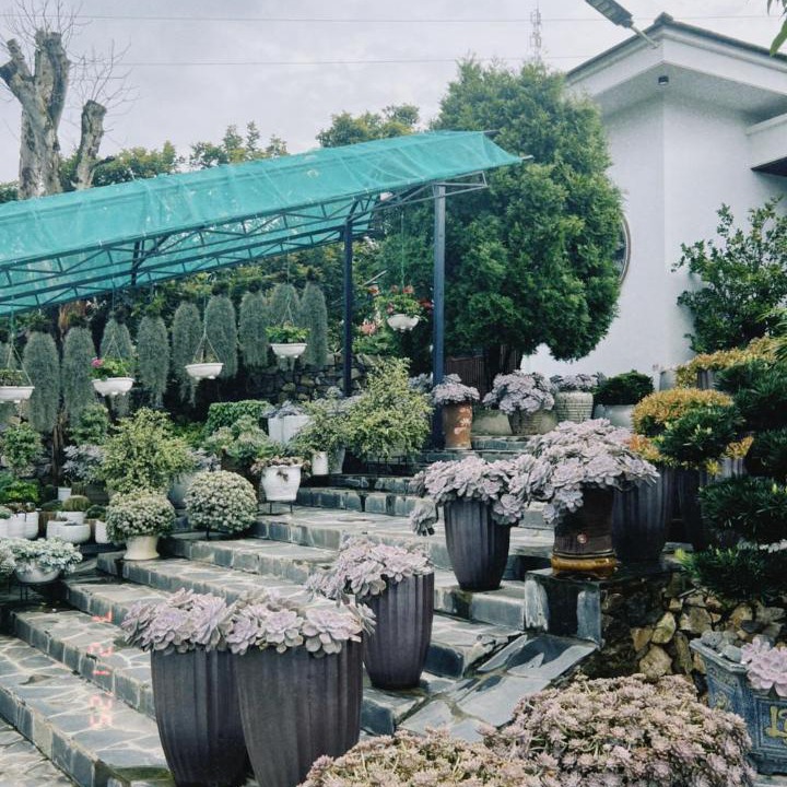 Photo of Others in Moc Chau