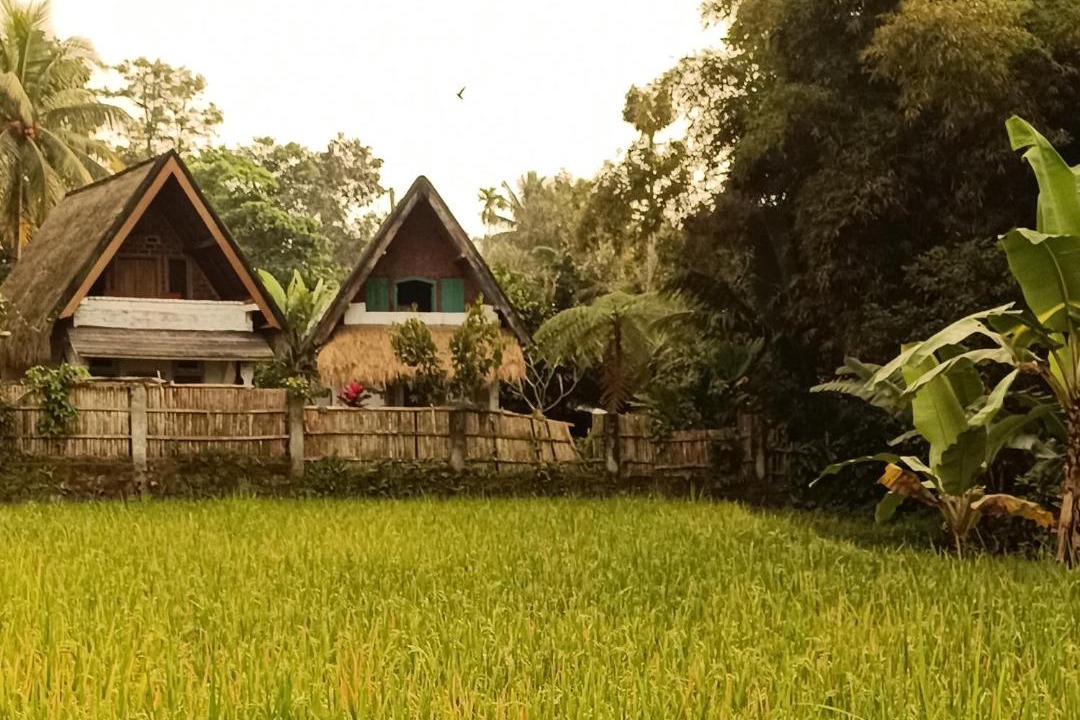 Photo of Others in Tetebatu