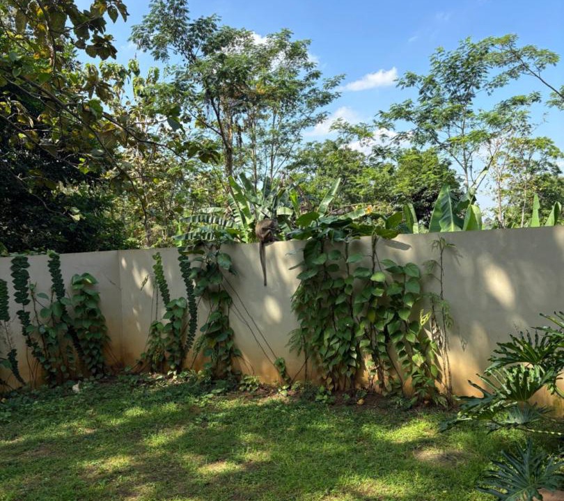 Photo of Others in Semarang