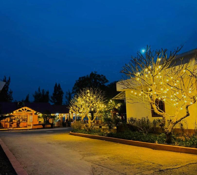 Photo of Others in Mong Cai