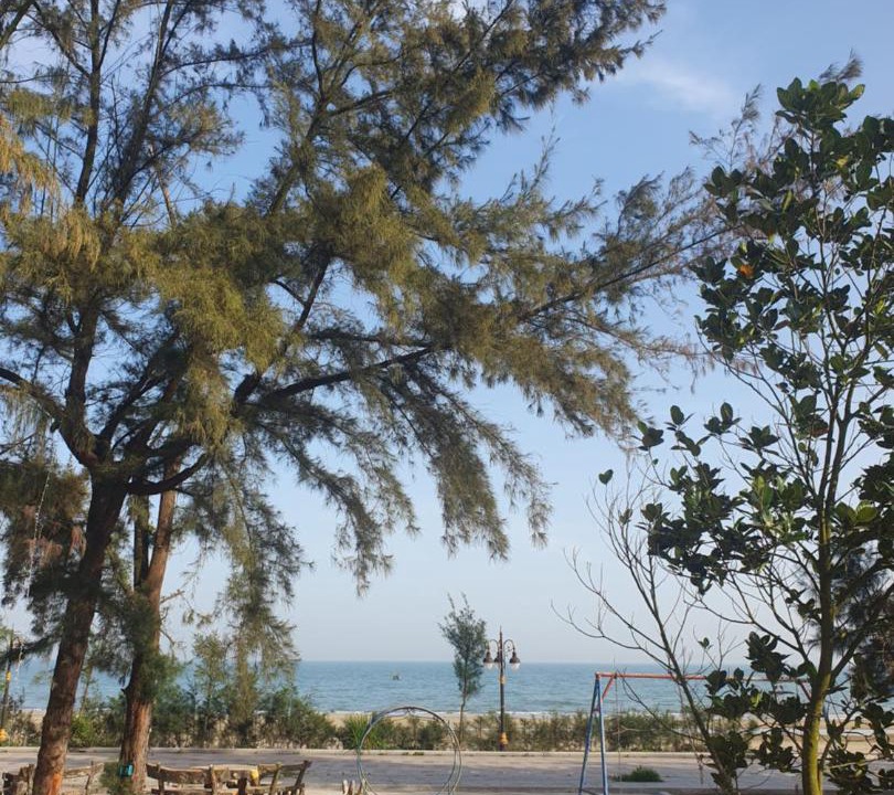 Photo of Others in Mong Cai