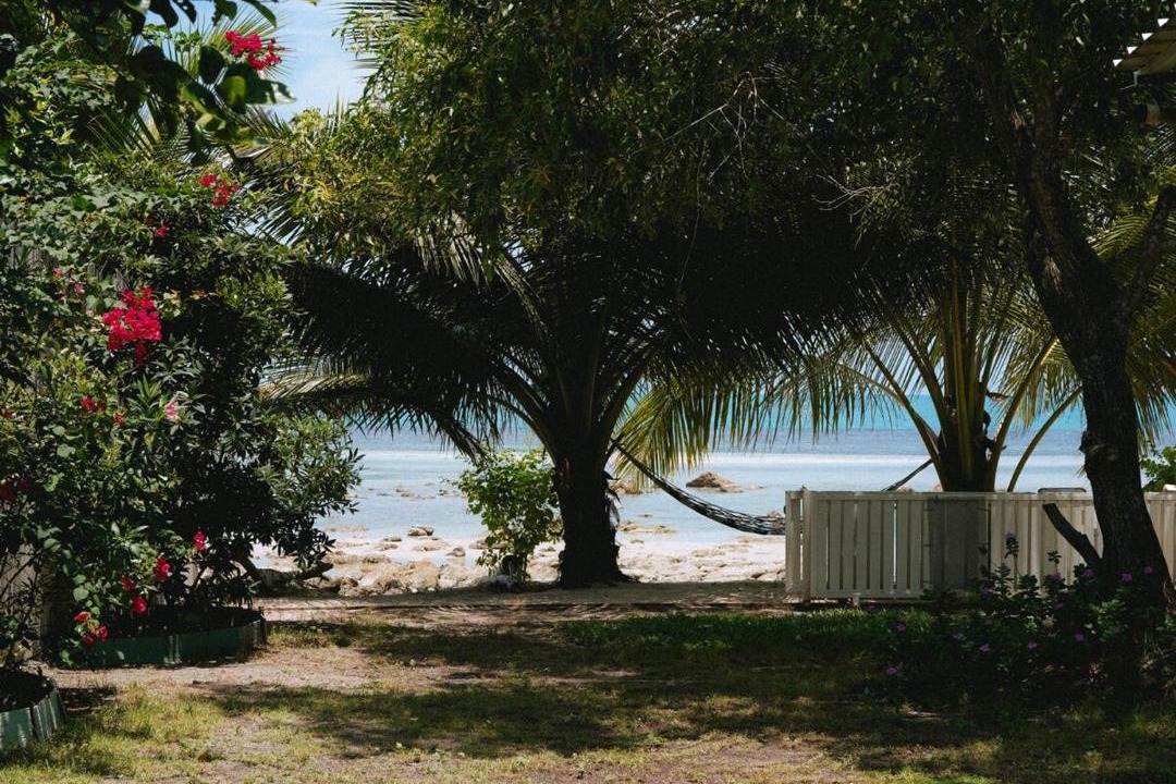 Photo of Others in Taling Ngam