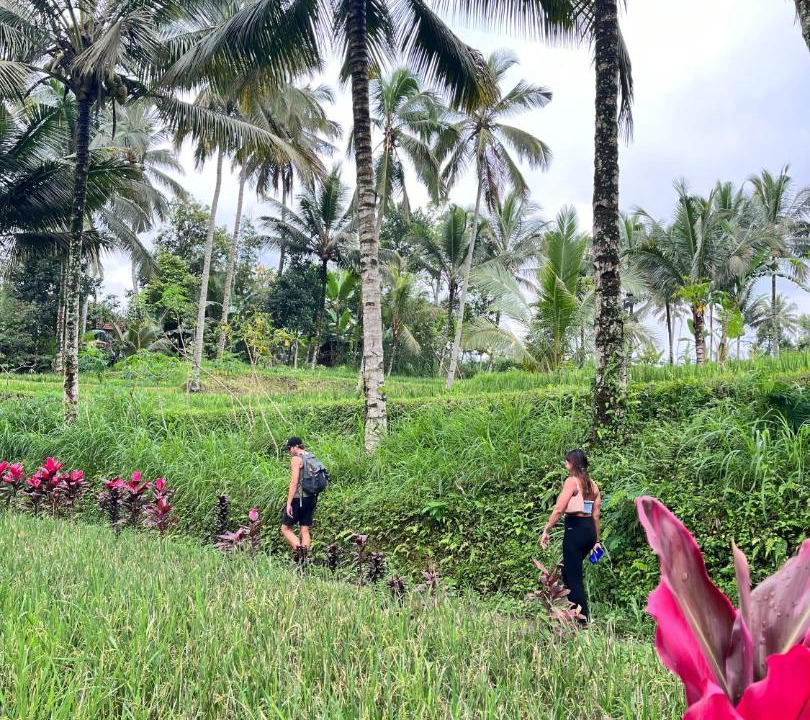 Photo of Others in Tetebatu