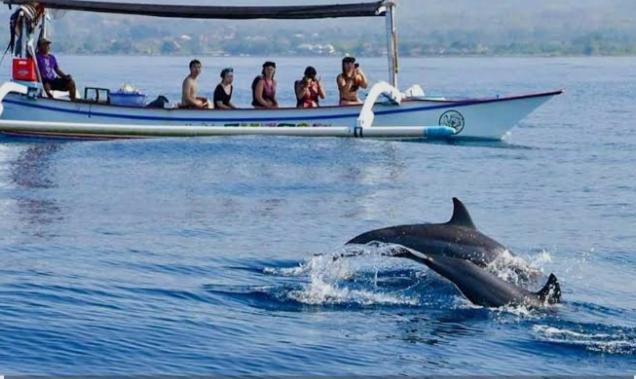 Photo of Others in Bunaken