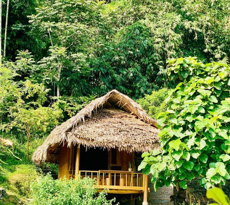 Photo of Others in Pu Long Nature Reserve
