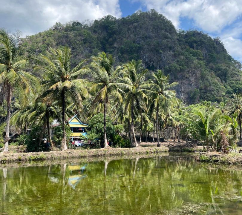 Photo of Others in Bantimurung