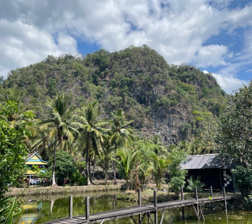 Photo of Others in Bantimurung