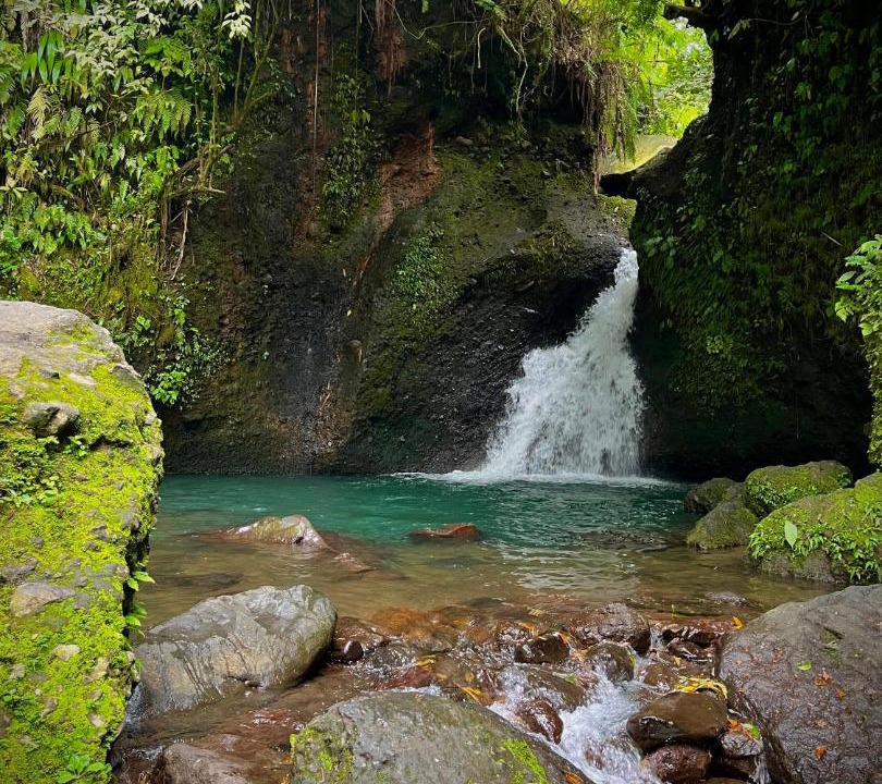 Photo of Others in Tetebatu