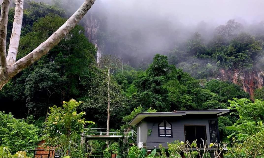 Photo of Others in Chiang Dao