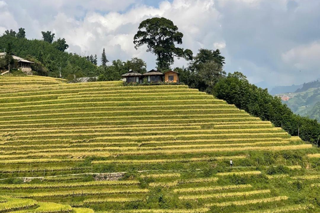 Photo of Others in Sa Pa