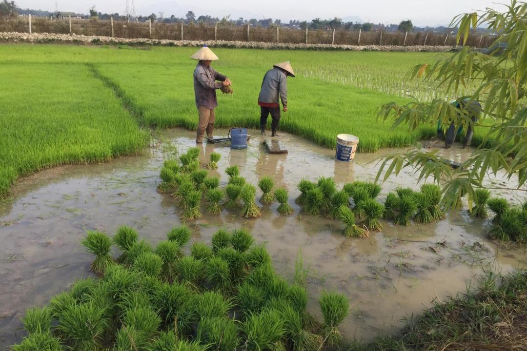 Photo of Others in Phon Hong