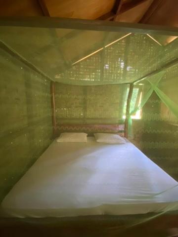 Photo of Bedroom in Bohorok