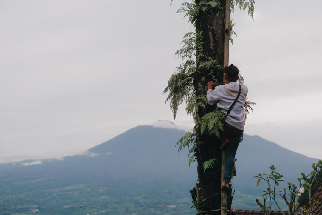 Photo of Others in Cigombong