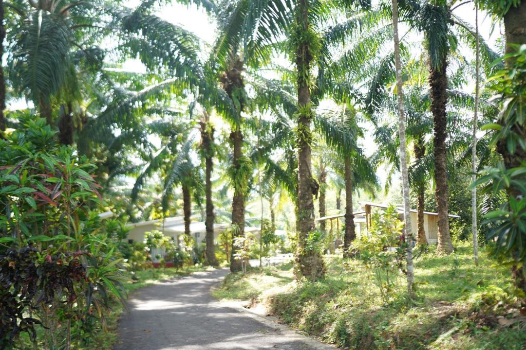Photo of Others in Ao Luek