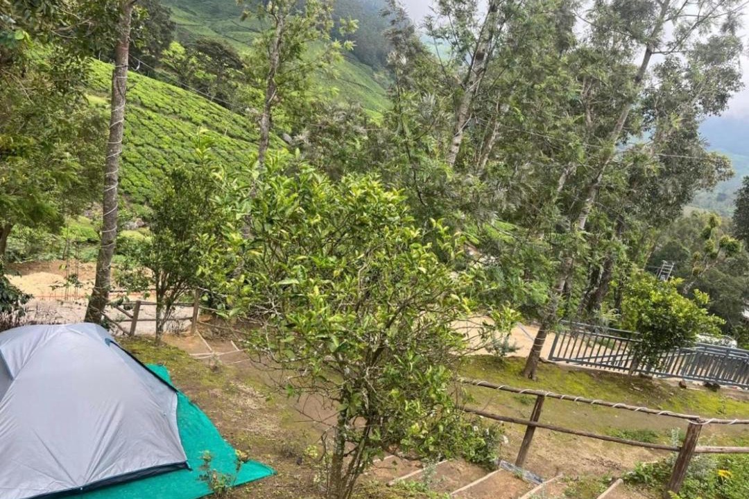 Photo of Outdoor in Suryanelli