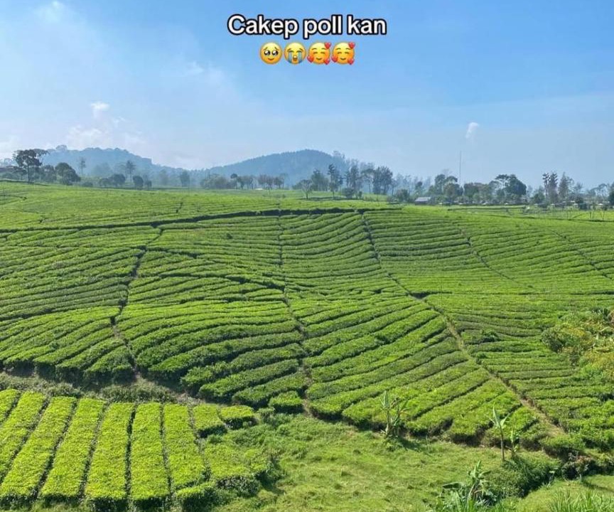 Photo of Others in Pangalengan