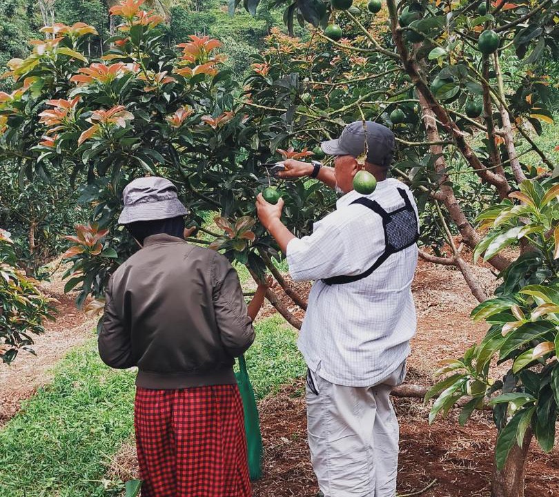 Photo of Others in Cikidang