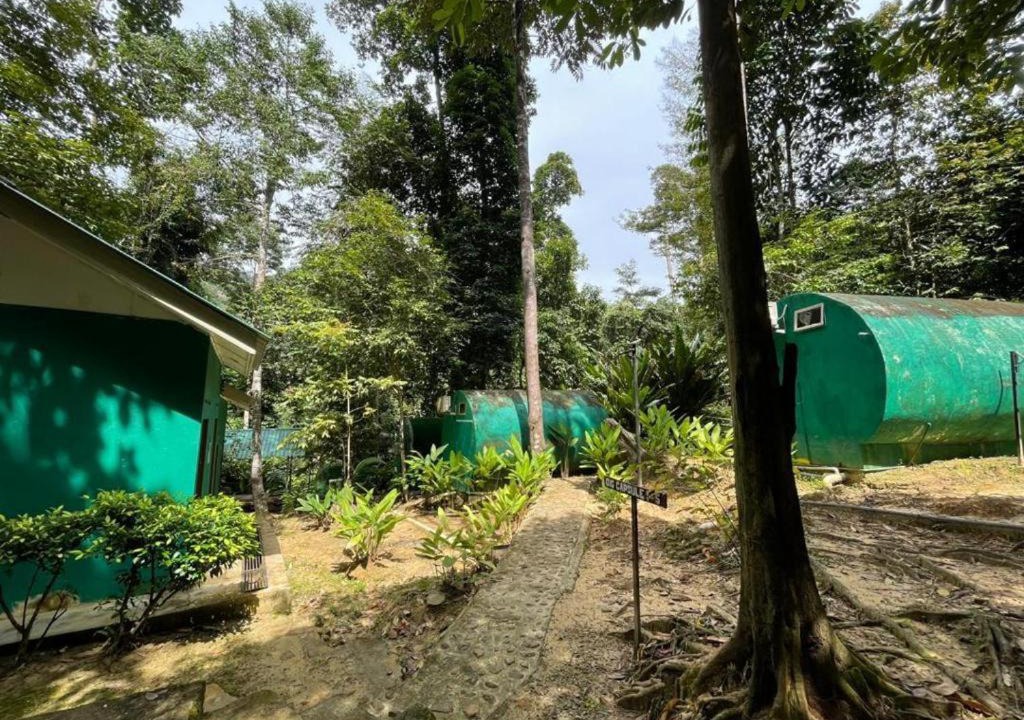 Photo of Others in Kuala Tahan