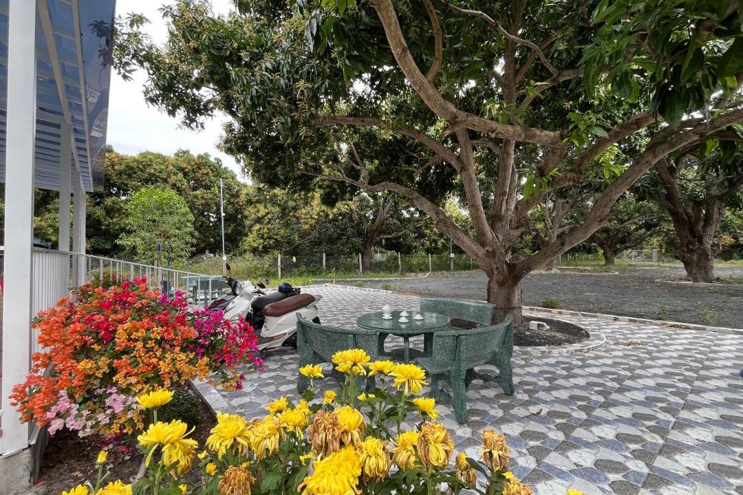 Photo of Others in Cam Lam
